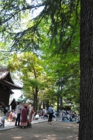 川口一箱古本市