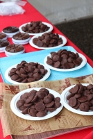 過去の開催の模様