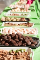 過去の開催の模様