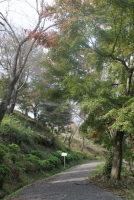 出陣! 松平の戦い