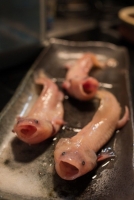 奇食ナイトOSAKA　3rd