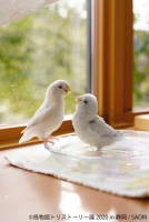 鳥物語トリストーリー展 2020