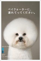 「ベイクォーターに、連れてってください」の広告犬集まれ！