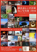 横浜赤レンガ倉庫ねこ写真展2016