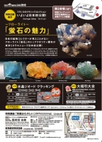 第24回 東京ミネラルショー ~地球の芸術たち。見て、触って、学んで、買って。~