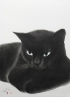 高橋行雄　作品2.クローン