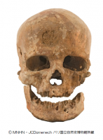 クロマニョン1号(クロマニョン人)