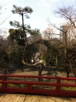 落語の舞台を歩く【基礎編】上野を知れば、落語がもっと楽しくなる！