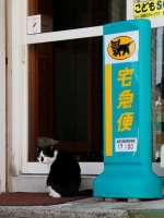 街の怪物件ナイト！２～珍スポ二大女神降臨伝説～