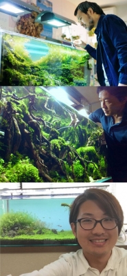 すばらしき水草水槽のせかい