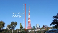 「速さの比較」 展覧会企画チーム 速度の実態を映像で表現。 <Image: 菅 俊一>