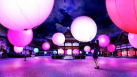 呼応する球体 - 下鴨神社 糺の森/ Resonating Spheres – Forest of Tadasu at Shimogamo Shrine  　　　　　teamLab, 2016, Interactive Installation, Endless, Sound: Hideaki Takahashi