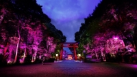 呼応する木々 – 下鴨神社 糺の森 / Resonating Trees – Forest of Tadasu at Shimogamo Shrine 　　　　　teamLab, 2016, Interactive Digitized Nature, Endless, Sound: Hideaki Takahashi
