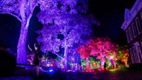 呼応する木々 / Resonating Trees teamLab, 2014, Interactive Digitized Nature, Sound: Hideaki Takahashi ※写真: 呼応する木々, 長崎