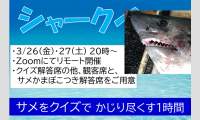 シャークイズ 鮫とクイズの1時間