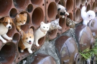 中山みどりフェルトアート展