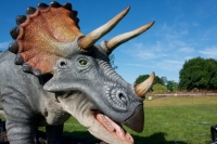 ナイトミュージアムde街コン@横浜みなとみらい