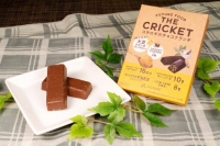 あなたの知らない最先端の昆虫食教室