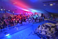 ペンギンと音楽の夜(画像提供：すみだ水族館)