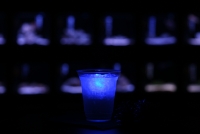 ブルーナイトカクテル(画像提供：すみだ水族館)