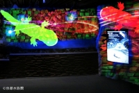 京の川ゾーン」の３Ｄプロジェクションマッピング※イメージ