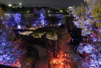 京の里山ゾーンライトアップ