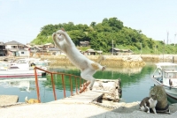 【ℂねこログ展】　猫の合同写真展　ねこログ展