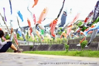 東京クラフトビールマニア・ねるねる氏