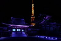 過去のイベントの模様