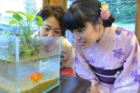 すみだ下町きんぎょ舟(イメージ)