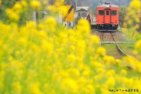 はじめての鉄道写真展