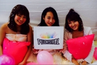 Pillow Festival JAPAN 2016