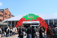 2016年の模様　エントランス