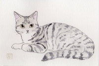 PECO NEKO館