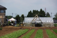 ステージは山武の間伐材を使用しています。