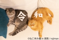 ねこ休み展 in 湘南