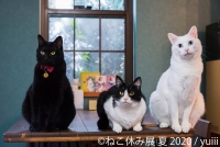 猫の合同写真展&物販展「ねこ休み展 夏 2020」