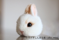 うさぎしんぼる展 2020