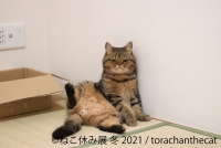 ねこ休み展 冬 2021