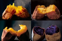 マグマやきいも電車