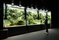 前回の展示の様子