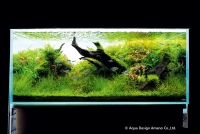 呼吸でめぐる、水族館