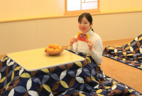 「こたつクルーズ」