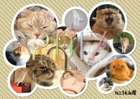 「ねこ休み展」 in  広島