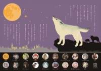 メインイラスト：TORIDORI/tama デザイン：ナツメヒロ