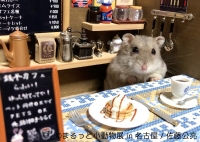 まるっと小動物展 in 名古屋
