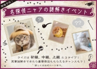 ねこ休み展 in 湘南