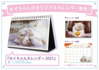 ねこ休み展 冬 2021