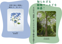 特別展「植物 地球を支える仲間たち」