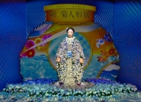新・菊人形展-STORY-